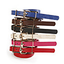 TS Skinny Belt