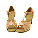 Ballroom Satin Upper Pink Latin Dance Shoes Practice Shoes for Women