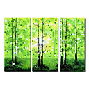 Hand-painted Abstract Oil Painting with Stretched Frame - Set of 3