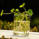 Modern Clear Glass Vase Centerpiece