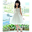 niña de princesa estilo de vestido de organza