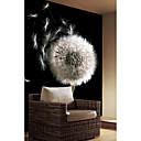 Dandelion Floral Nature Mural