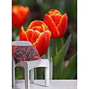 Red Floral Botanical Nature Mural