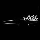 Lovely Alloy With Rhinestone Flower Girl Tiaras / Headbands