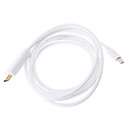 Thunderbolt HDMI Male naar Mini Display Port Video kabel voor Mac Book ea (180CM)
