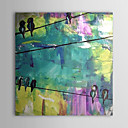 Hand-painted Animal Oil Painting with Stretched Frame 20" x 24"