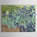 Beroemde olieverfschilderij Irissen door Van Gogh