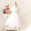 Nice Sleeveless Net/Tulle Wedding/Evening Flower Girl Dress