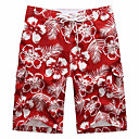 Men's Hawaii Mid Length Shorts