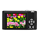 Panasonic FX12 Digitalkamera (Schwarz) + Geschenk (2GB SD Card + mehr)-Versandkosten