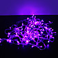 10M Purple 100-LED Christmas Fairy String Light 8 Sparking Modes (220V)