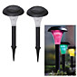 Solar Powered Plastic Color Changing Outdoor Landscape Path LED Lights (2-Pack)