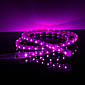 Waterproof 3.5W / M 3528 SMD Paars Licht LED Strip Lamp (220V, lengte instelbaar)